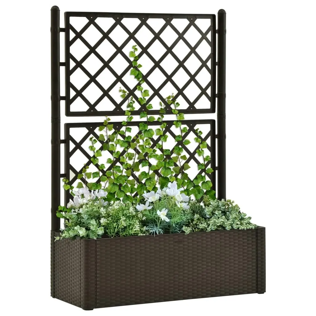 Garden Raised Bed with Trellis and Self Watering System Mocha 313968