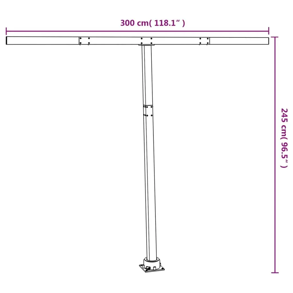 Awning Post Set Anthracite 300x245 cm Iron 315096