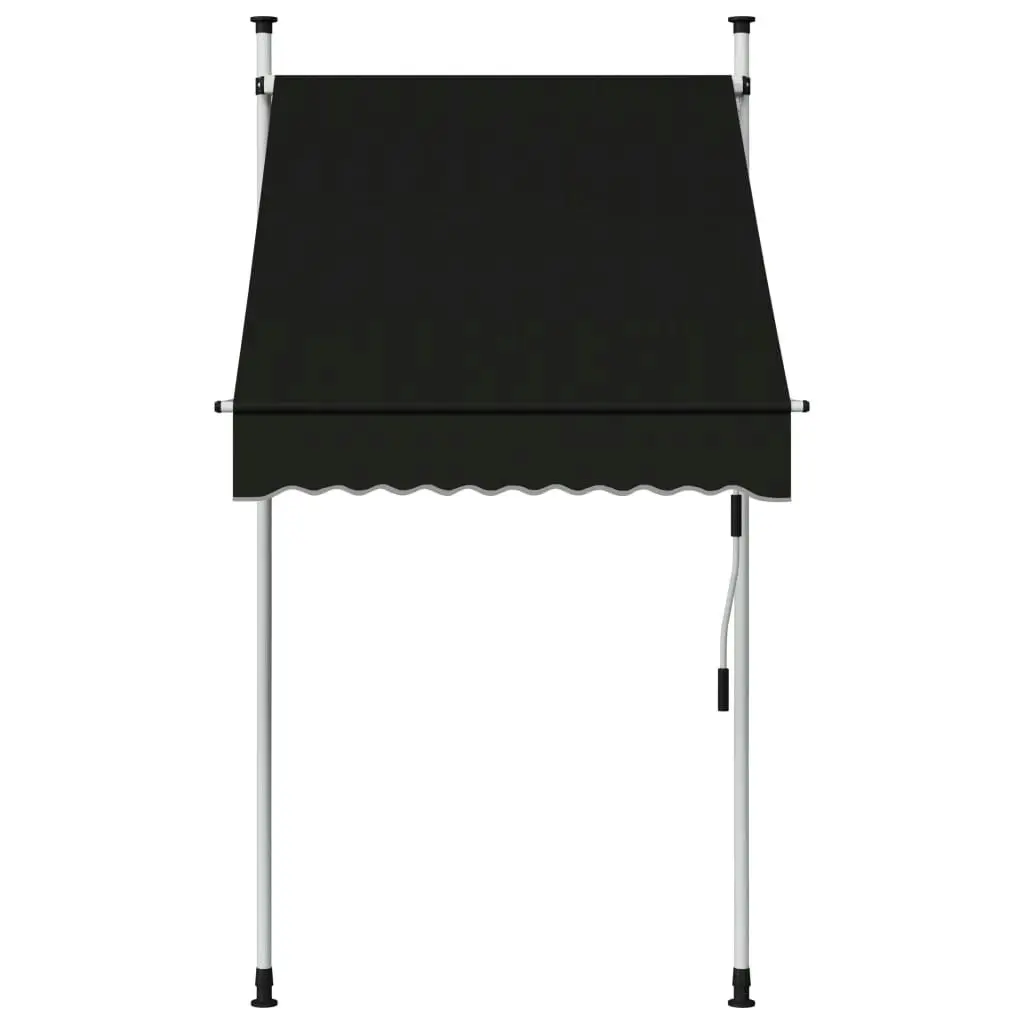 Manual Retractable Awning 100 cm Anthracite 145832