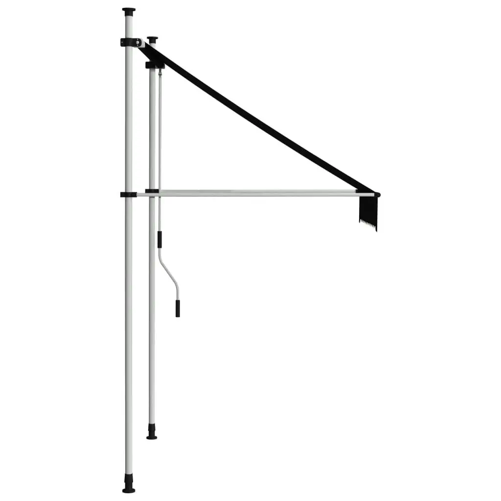 Manual Retractable Awning 100 cm Anthracite 145832