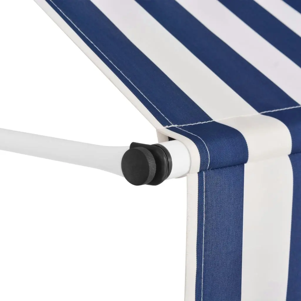 Manual Retractable Awning 250 cm Blue and White Stripes 43221