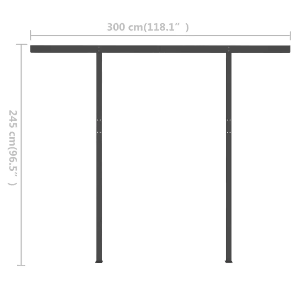 Manual Retractable Awning with LED 3x2.5 m Anthracite 3070104