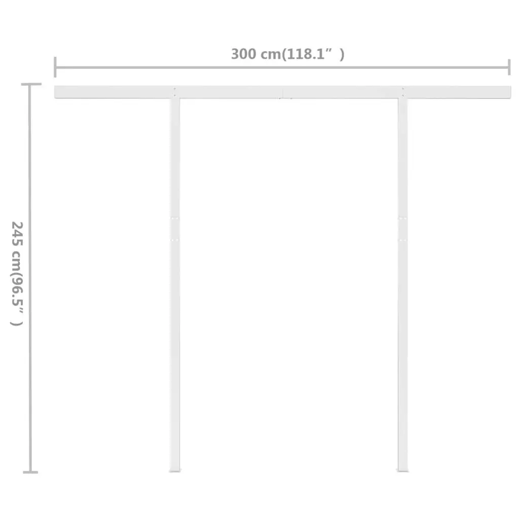 Manual Retractable Awning with Posts 3x2.5 m Anthracite 3069899