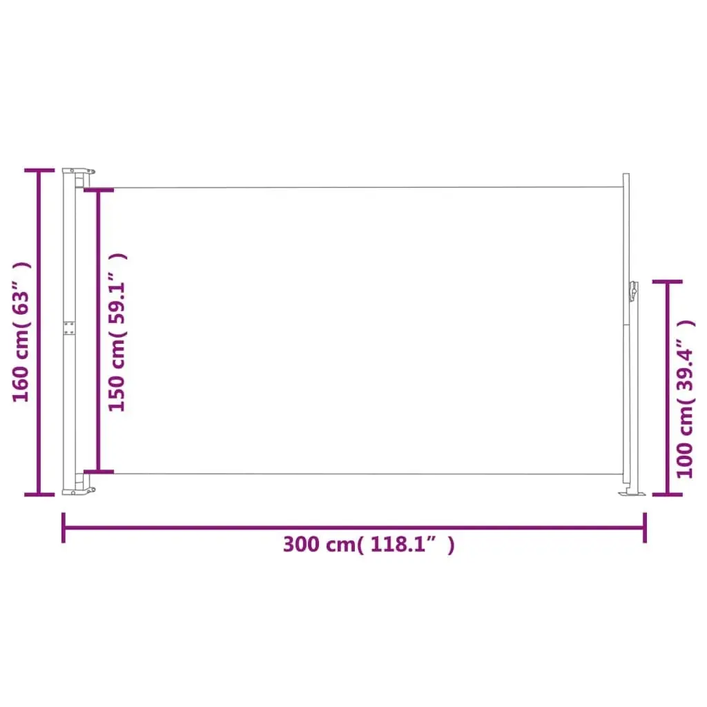 Patio Terrace Side Awning 160 x 300 cm Blue 41045