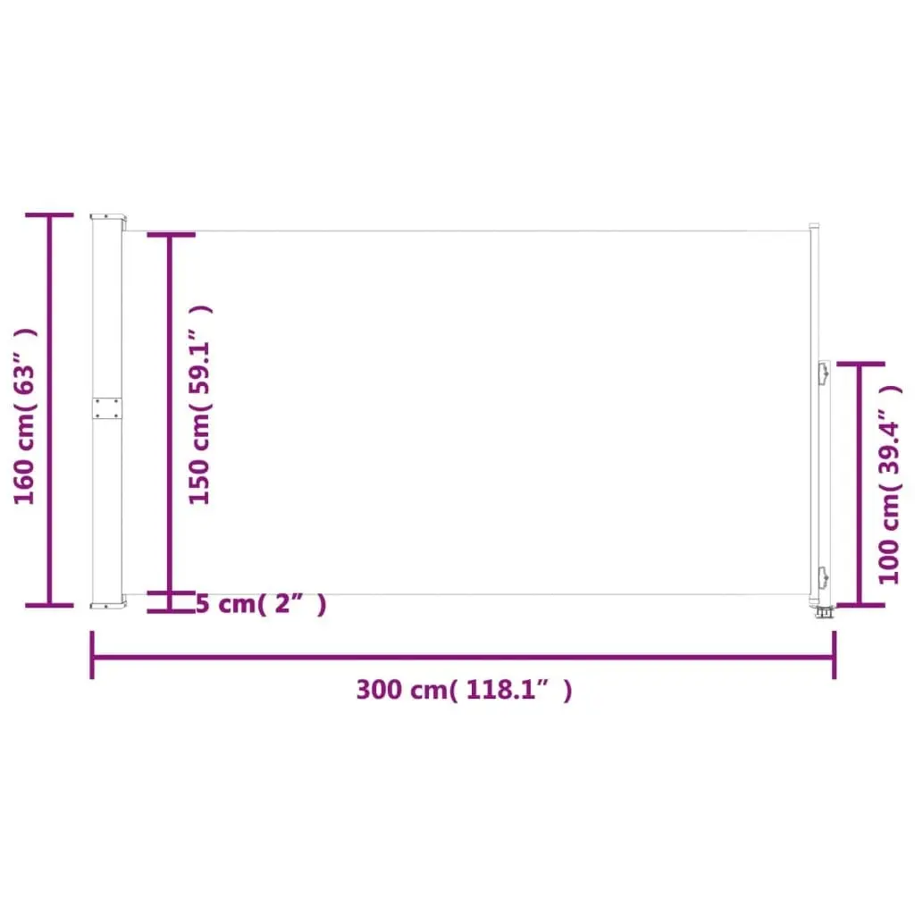 Patio Retractable Side Awning 160 x 300 cm Grey 45195