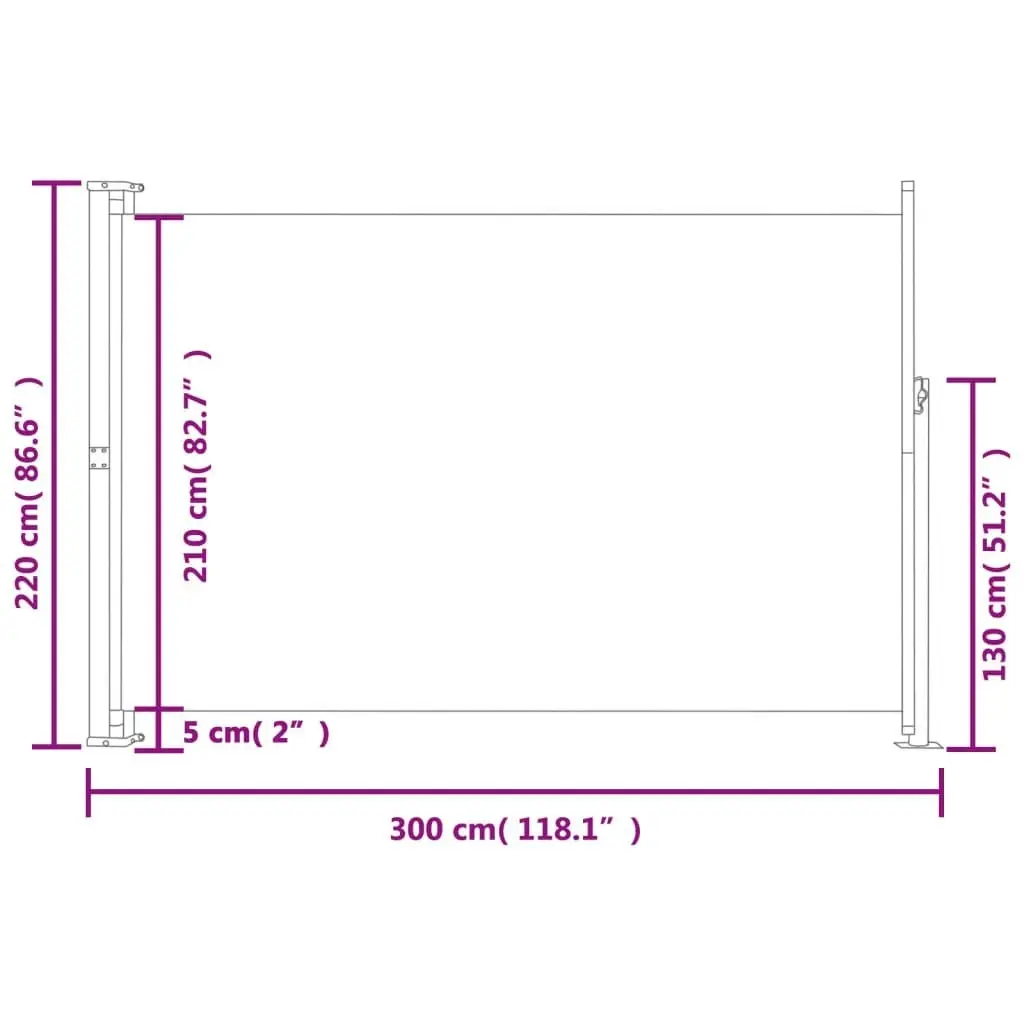 Patio Retractable Side Awning 220x300cm Grey 313425