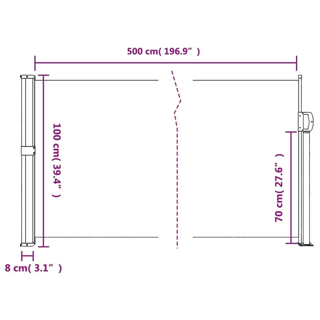 Retractable Side Awning Anthracite 100x500 cm 4004398