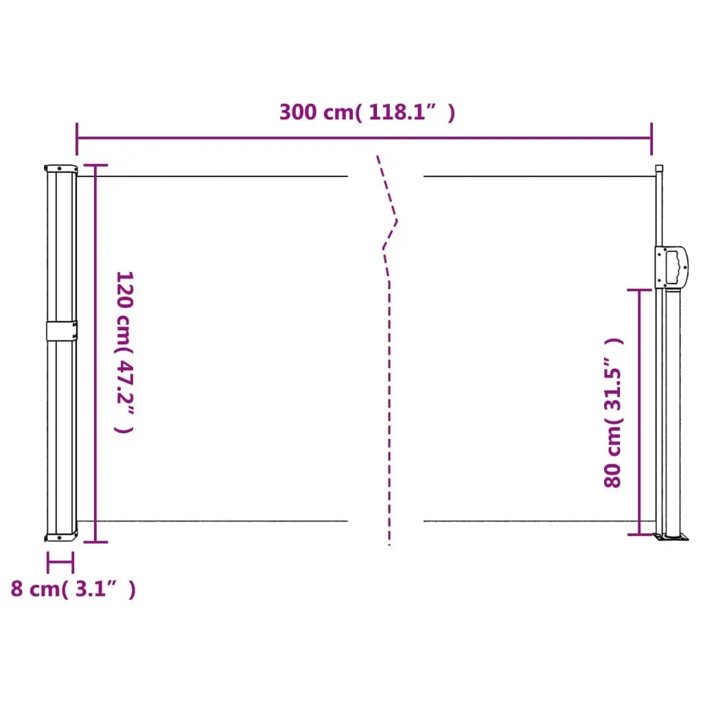 Retractable Side Awning Anthracite 120x300 cm 4004293