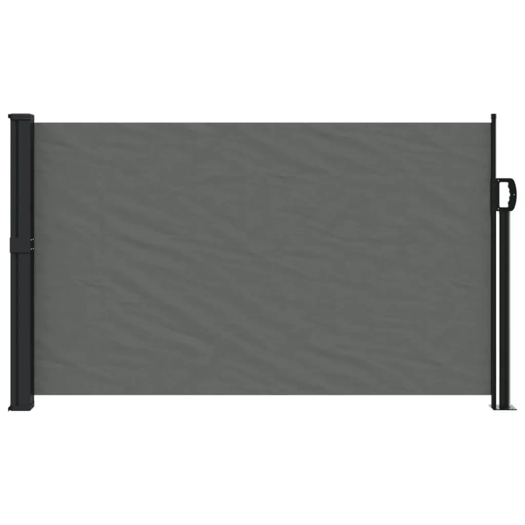 Retractable Side Awning Anthracite 120x300 cm 4004293