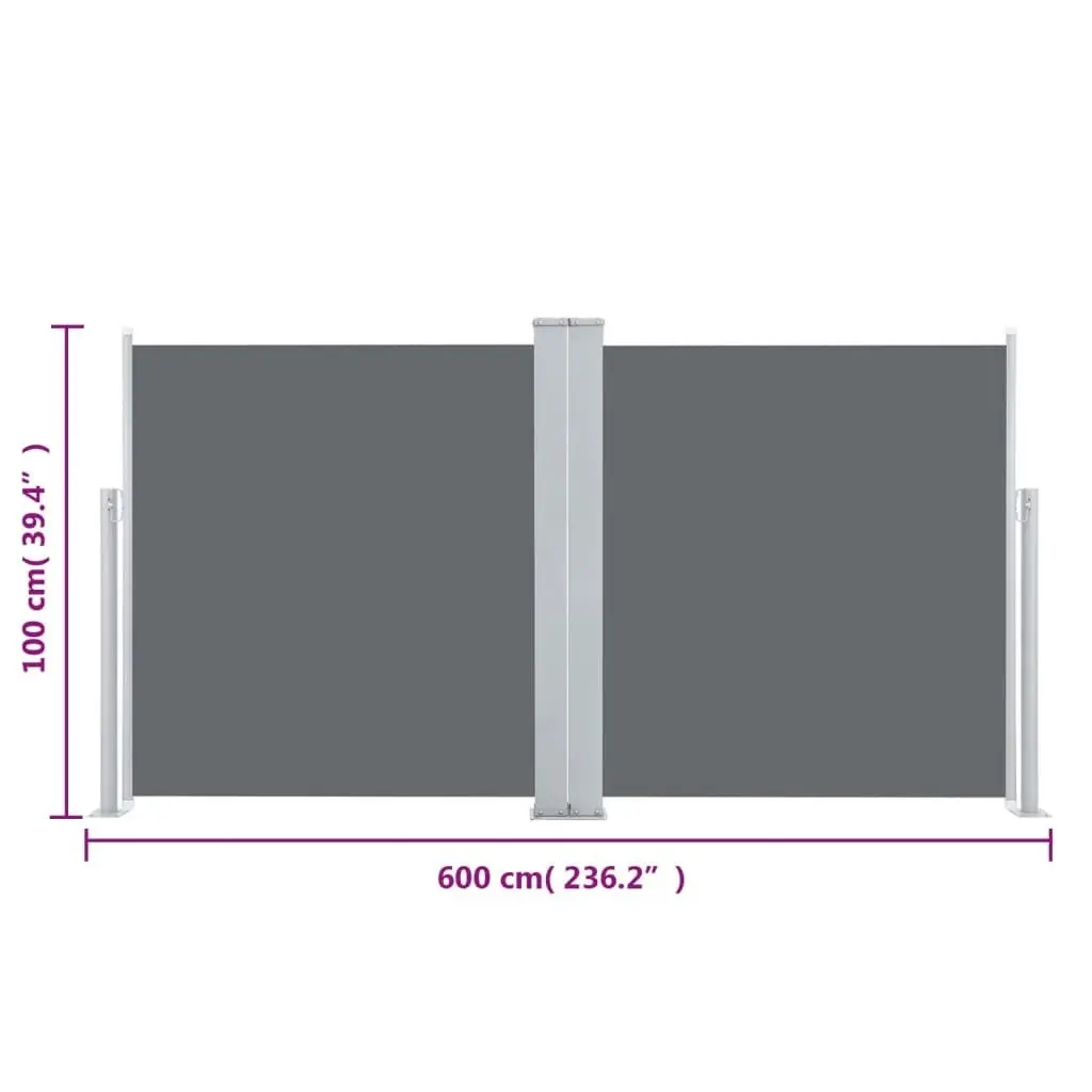 Retractable Side Awning Anthracite 100x600 cm 48444