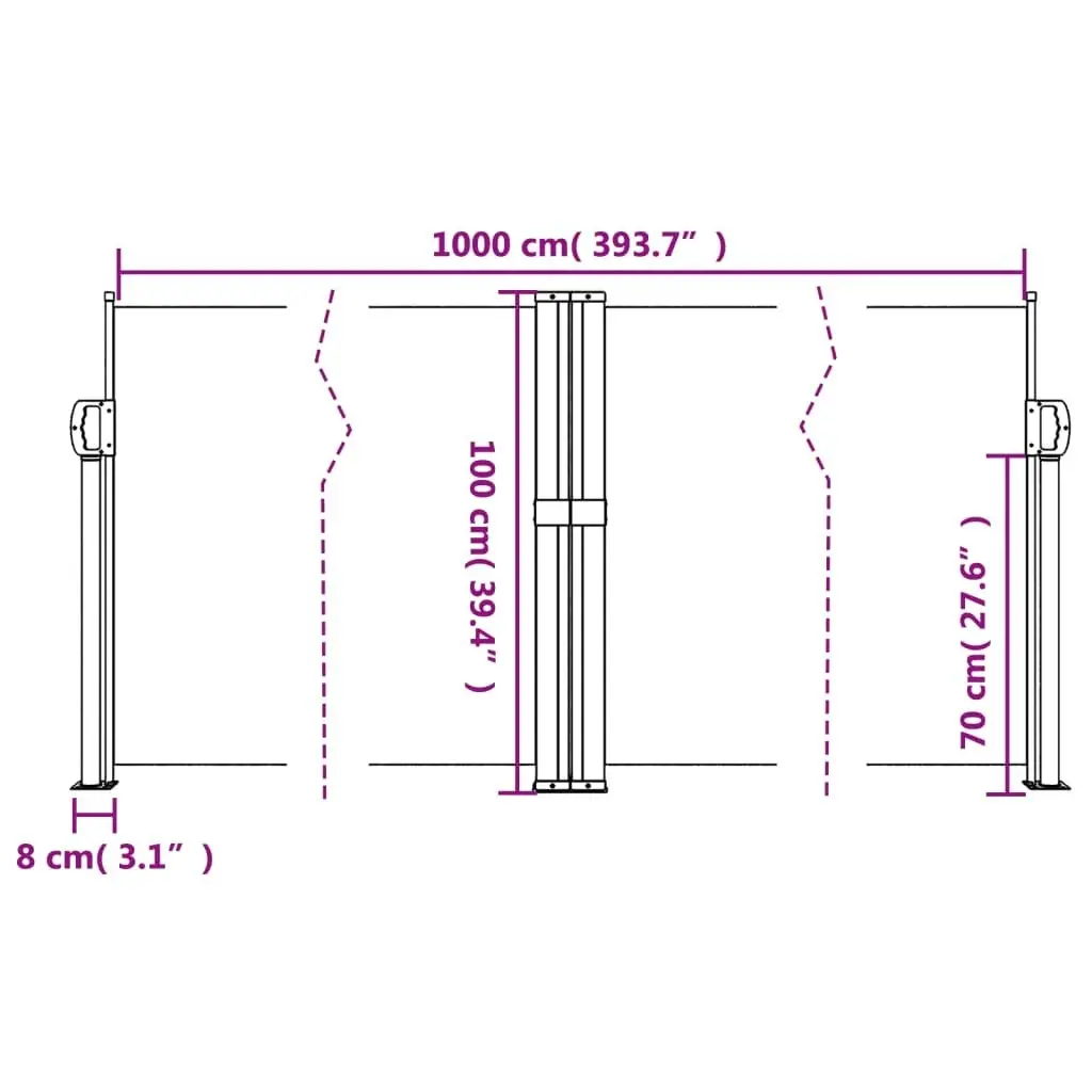 Retractable Side Awning Black 100x1000 cm 4004684