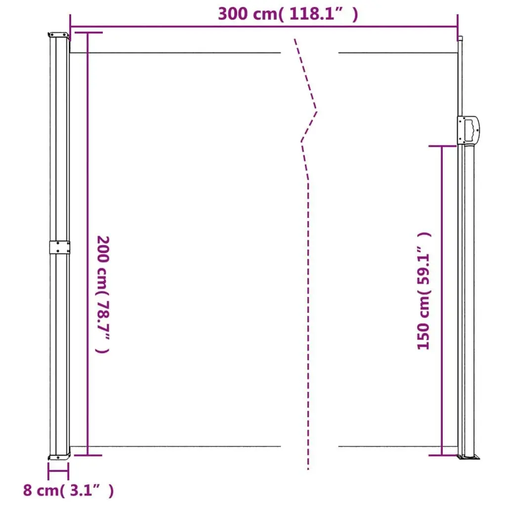 Retractable Side Awning Anthracite 200x300 cm 4004368