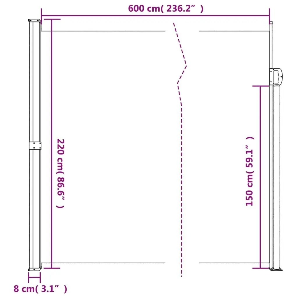 Retractable Side Awning Anthracite 220x600 cm 4004578