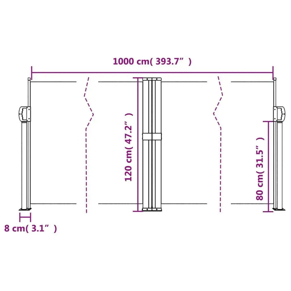 Retractable Side Awning Black 120x1000 cm 4004699