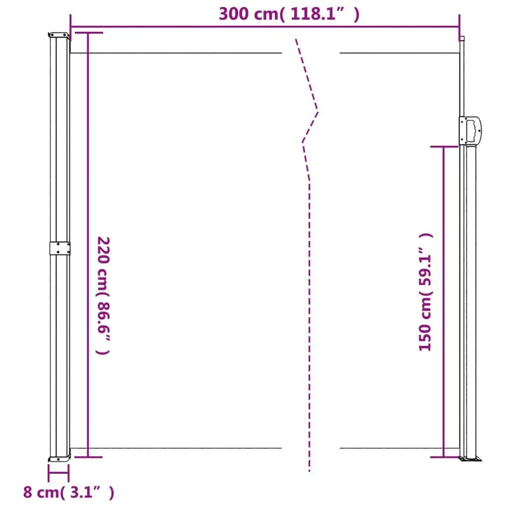 Retractable Side Awning Anthracite 220x300 cm 4004383