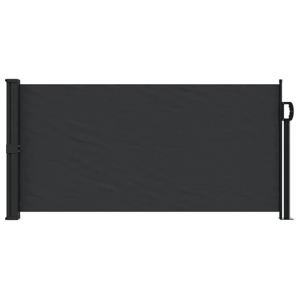 Retractable Side Awning Black 100x300 cm 4004264