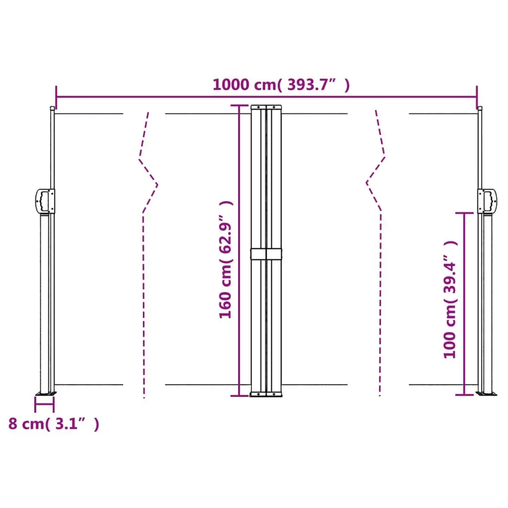 Retractable Side Awning Black 160x1000 cm 4004729