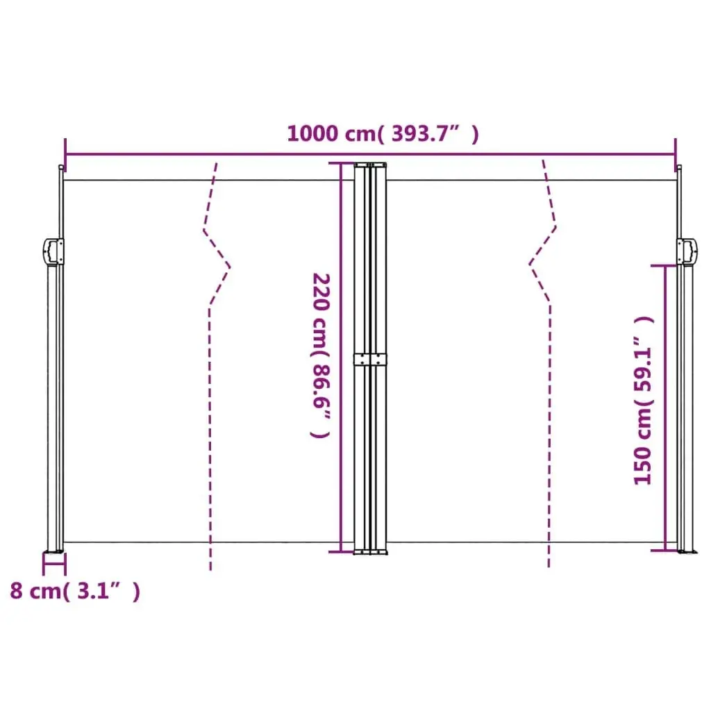 Retractable Side Awning Black 220x1000 cm 4004774