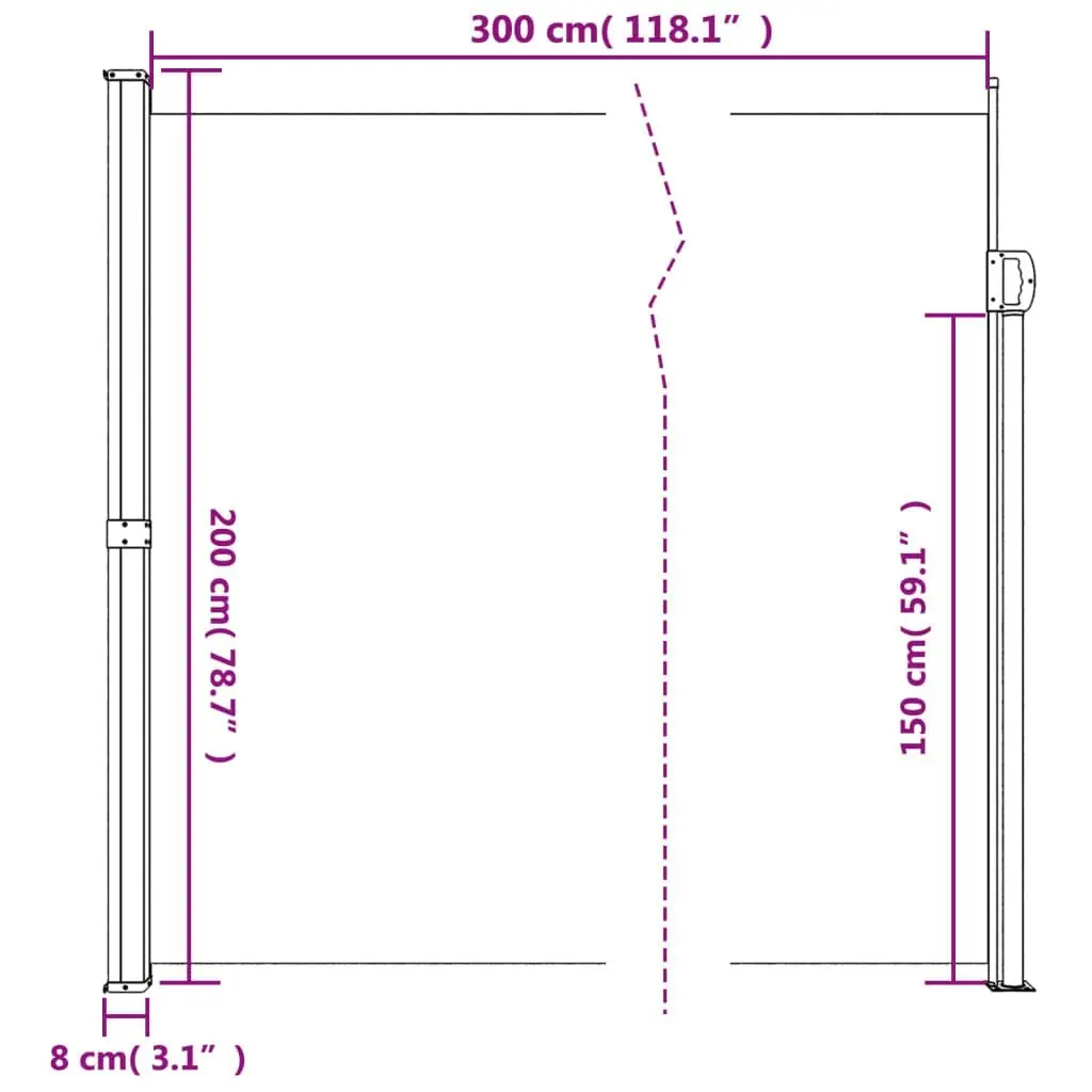 Retractable Side Awning Black 200x300 cm 4004354