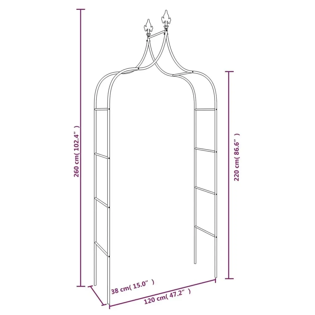 Garden Arches 2 pcs Black 120x38x260 cm Steel 319349