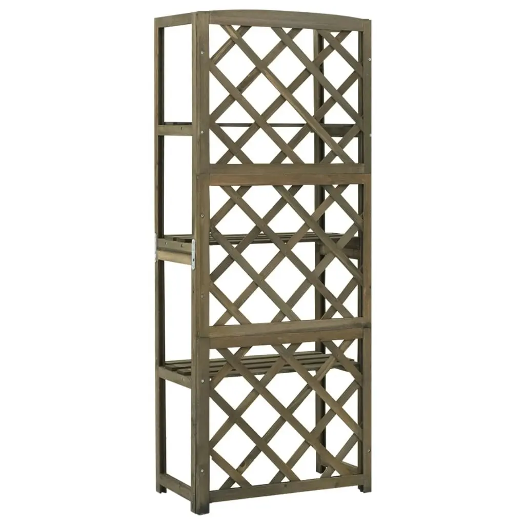 Trellis with Shelves Grey 55x30x140 cm Solid Fir Wood 316410