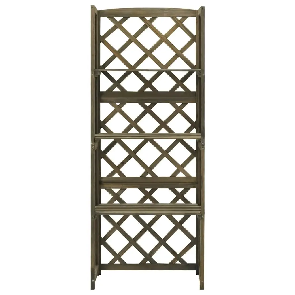 Trellis with Shelves Grey 55x30x140 cm Solid Fir Wood 316410