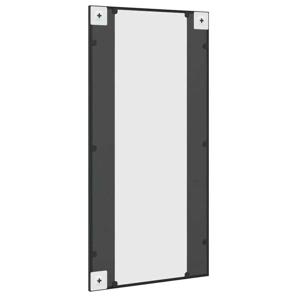 Wall Mirror Black 50x100 cm Rectangle Iron 358630