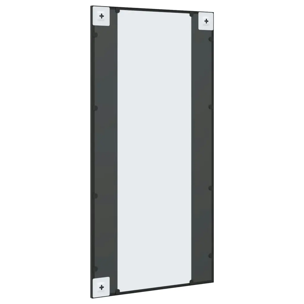 Wall Mirror Black 50x100 cm Rectangle Iron 358649