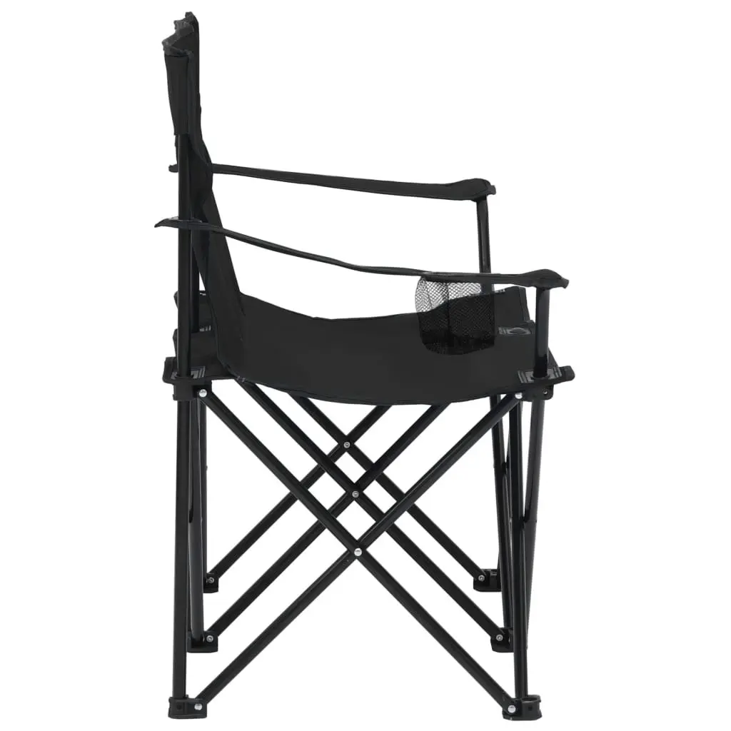 2-Seater Foldable Camping Chair Steel and Fabric Black 313538