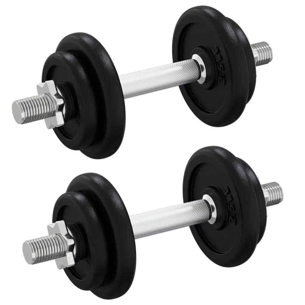 Dumbbell with Plates Set 40 kg Cast Iron and Chrome Plated Steel 3145033