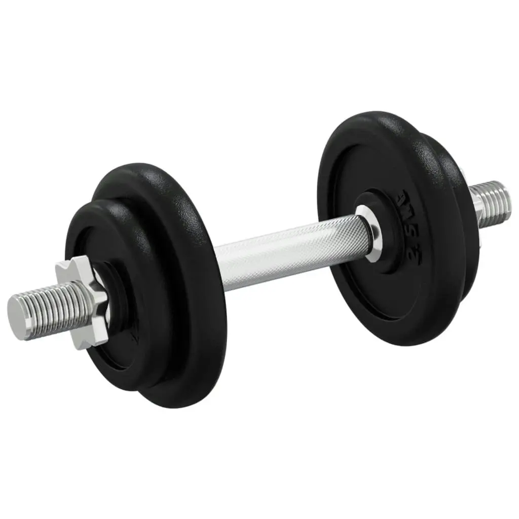 Dumbbell with Plates Set 40 kg Cast Iron and Chrome Plated Steel 3145033