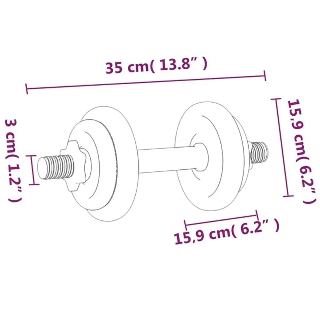 Dumbbell with Plates Set 40 kg Cast Iron and Chrome Plated Steel 3145033