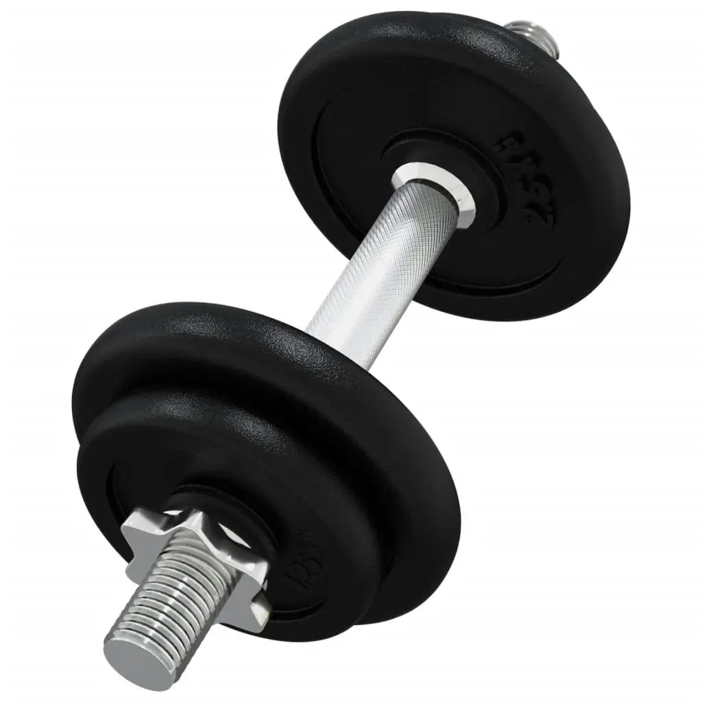 Dumbbell with Plates Set 40 kg Cast Iron and Chrome Plated Steel 3145033