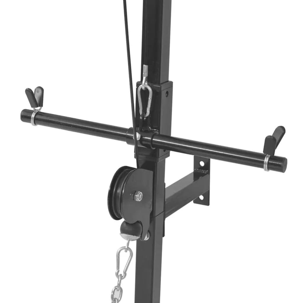 Wall-mounted Home Gym with 2 Pulleys 91369