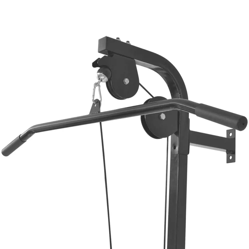 Wall-mounted Home Gym with 2 Pulleys 91369