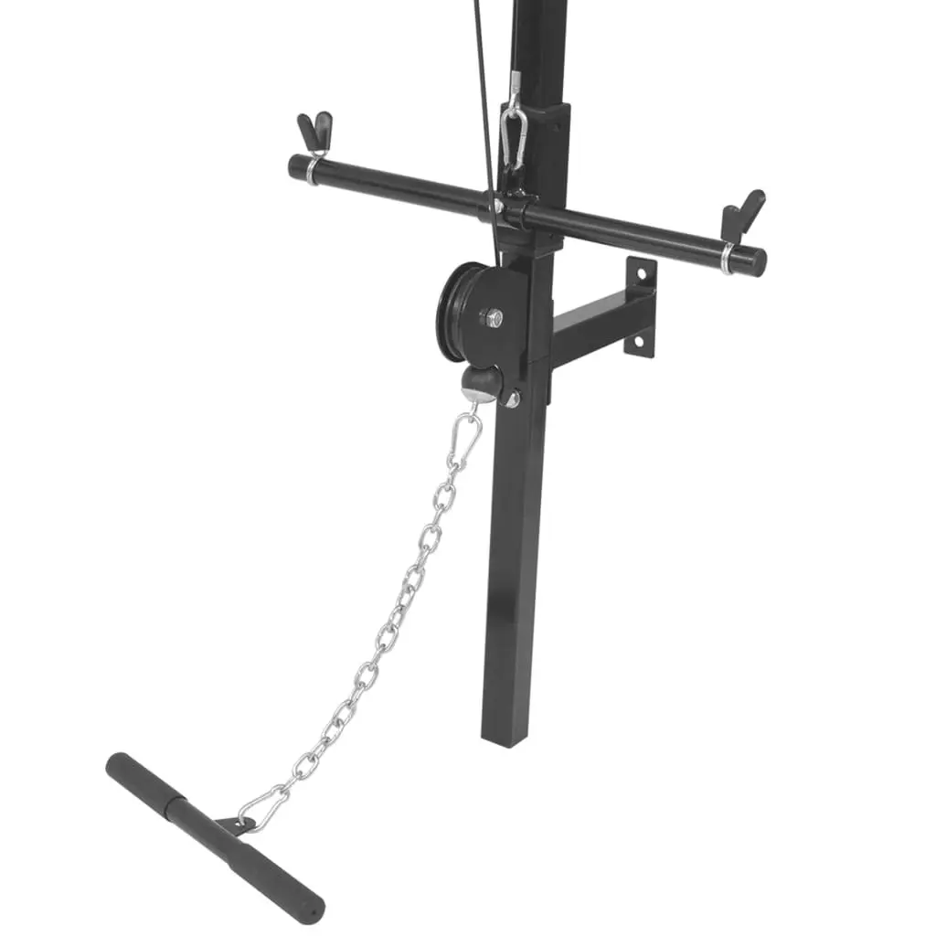 Wall-mounted Home Gym with 2 Pulleys 91369