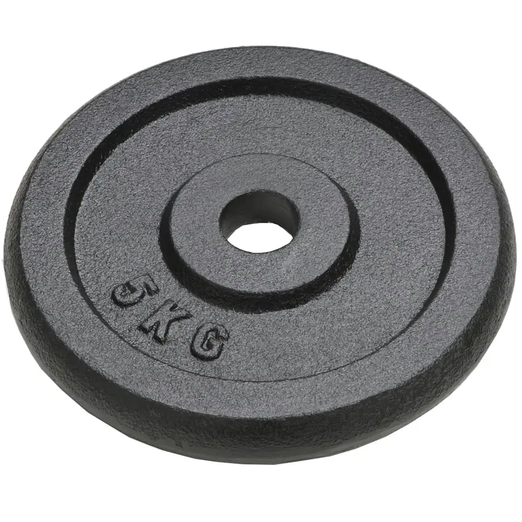 Weight Plates 4 pcs 4x5 kg Cast Iron 91392