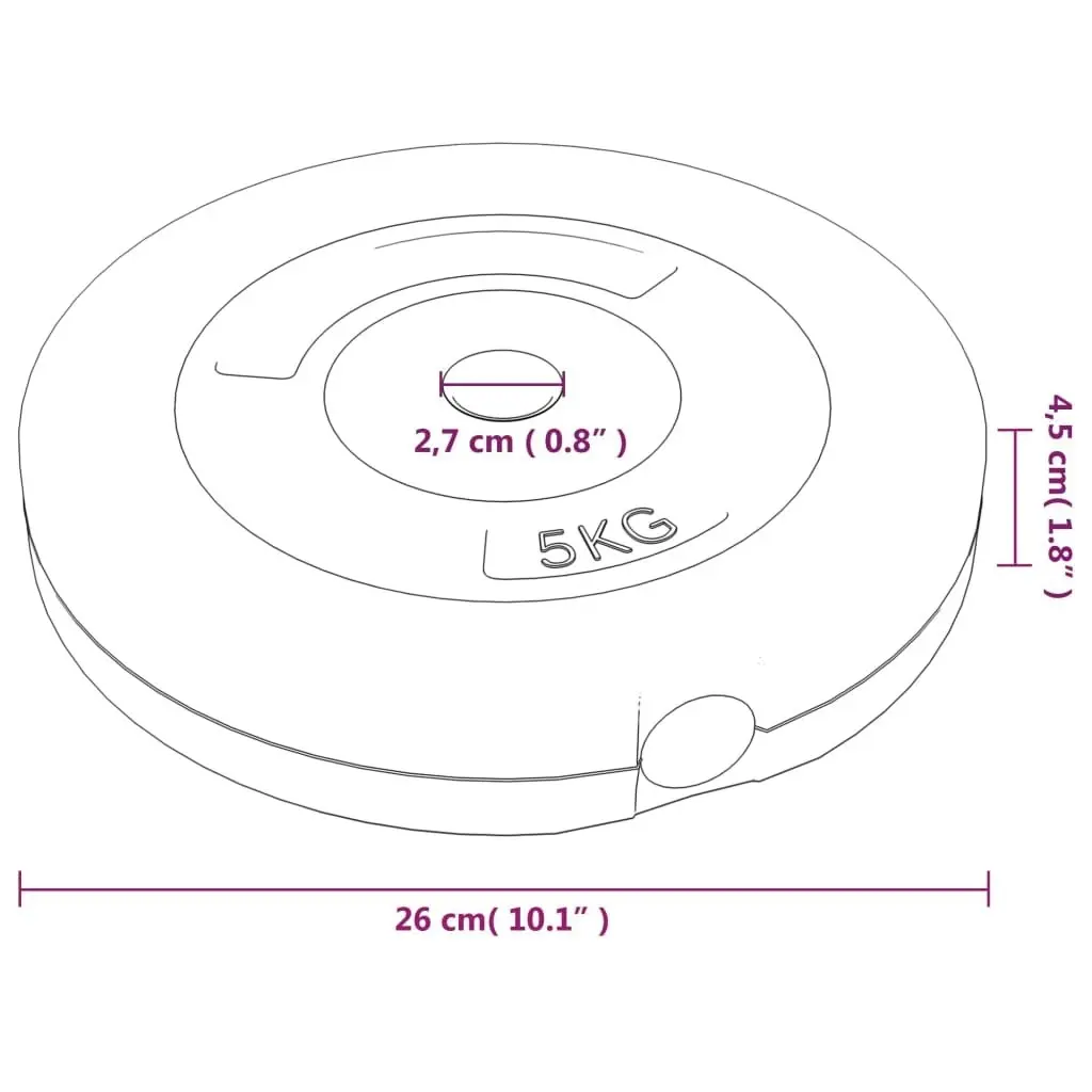 Weight Plates 4 pcs 30 kg Cement 93597