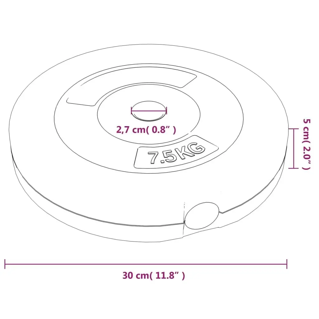 Weight Plates 6 pcs 30 kg Cement 93599