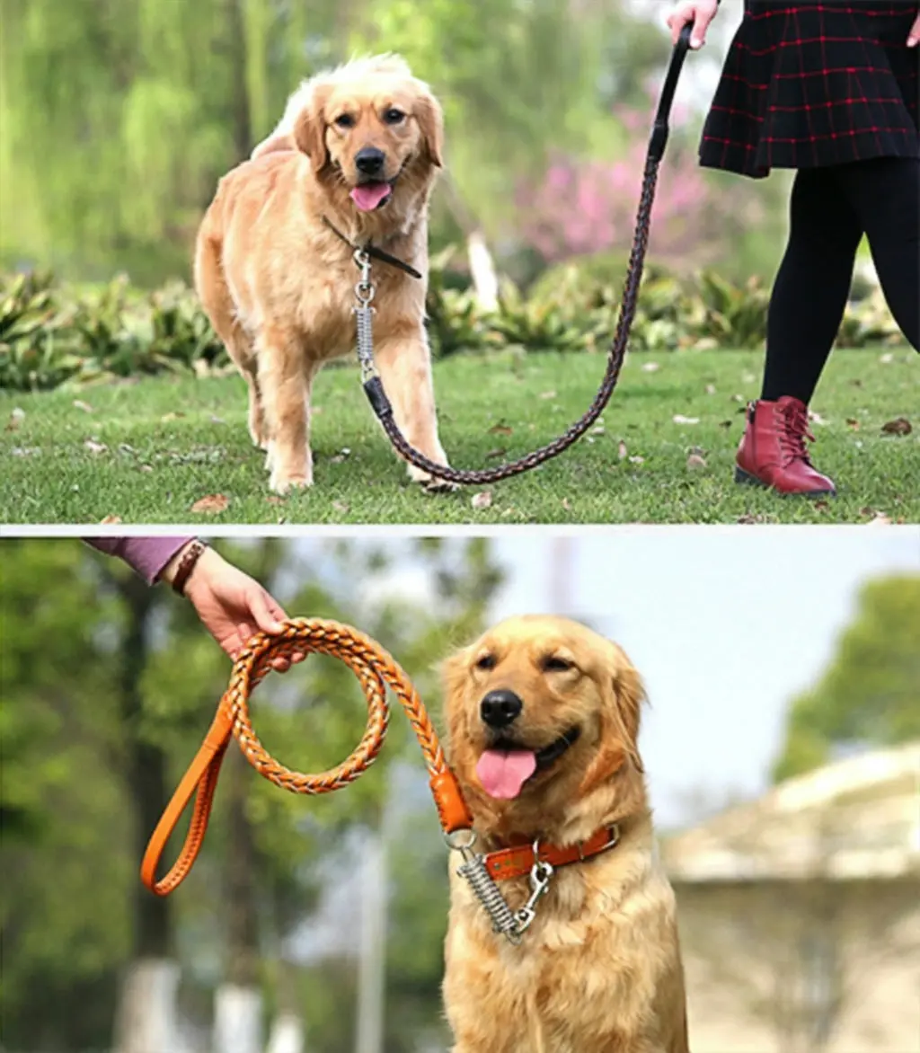 Dog Collar Set Hand Crafted Braided Genuine Leather Dog Collar & Leash Lead