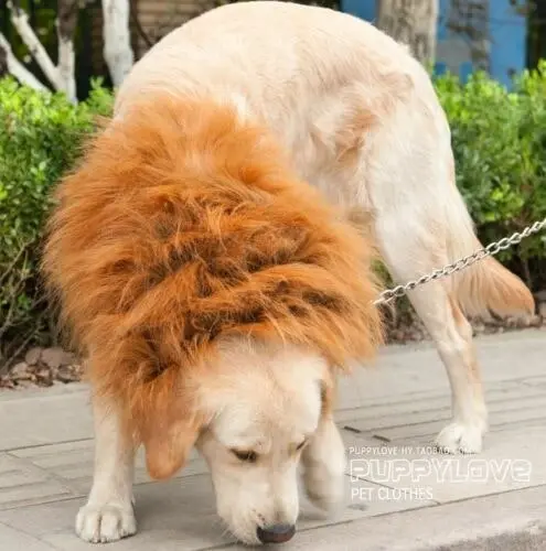 Large breed dog HALLOWEEN Festival Party Costume Lion Mane Wig in 4 colours