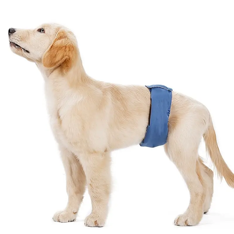 Male Sanitary Dog Nappy Underpants Diaper Pants Blue M L XL 2XL