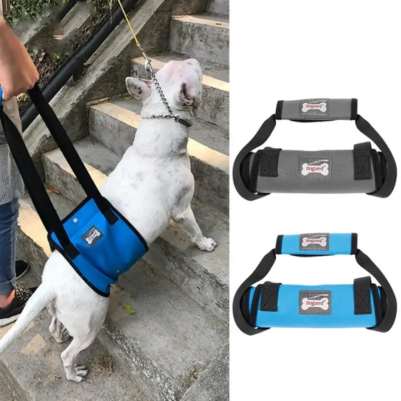 Dog Lift Harness Injury Pet Dog Walking Aid Support Blue