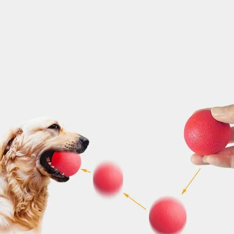 2Pcs Solid Training Rubber Ball Pet Puppy Dog Chew Play Fetch Bite Toy