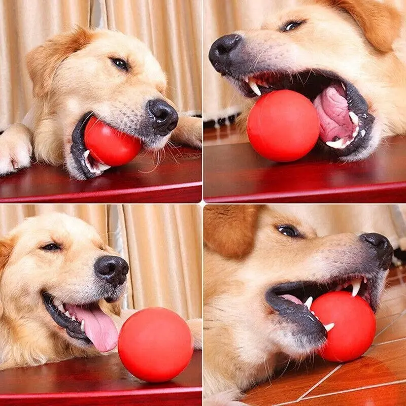 2Pcs Solid Training Rubber Ball Pet Puppy Dog Chew Play Fetch Bite Toy