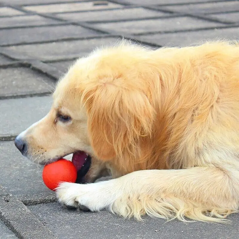 2Pcs Solid Training Rubber Ball Pet Puppy Dog Chew Play Fetch Bite Toy