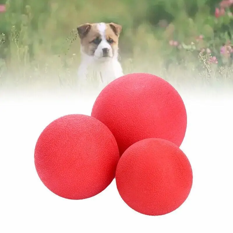 2Pcs Solid Training Rubber Ball Pet Puppy Dog Chew Play Fetch Bite Toy