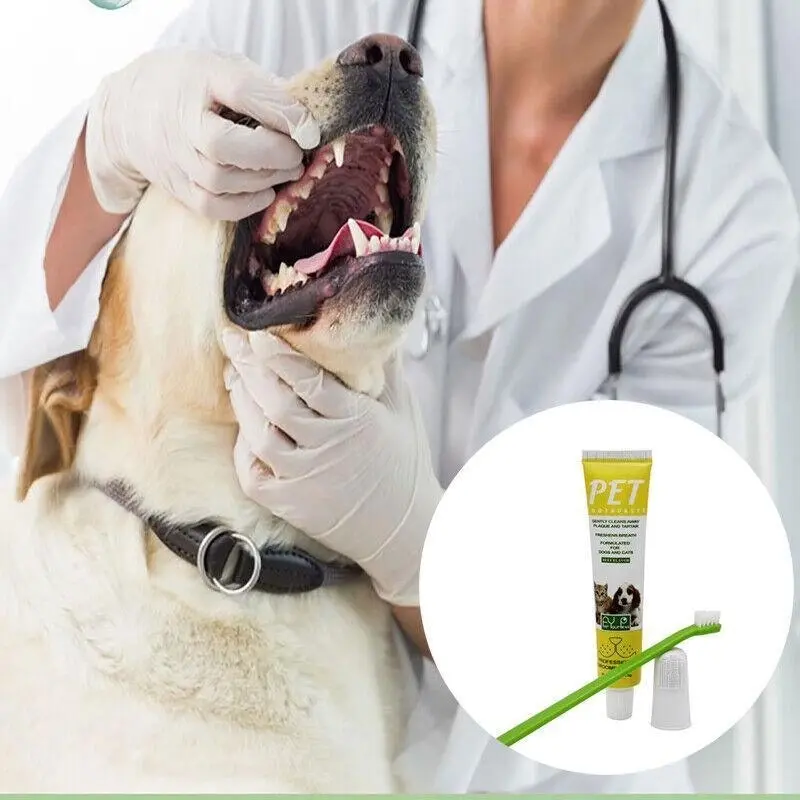 1X Pet Dog Cat Cleaning Toothpaste+Toothbrush+ Back Up Brush Set Beef Flavour