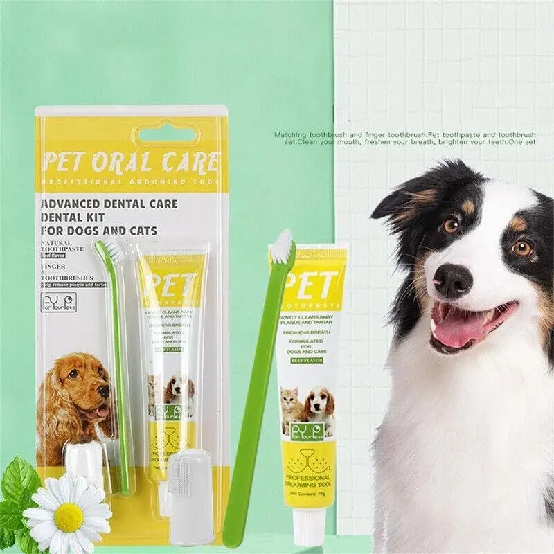 1X Pet Dog Cat Cleaning Toothpaste+Toothbrush+ Back Up Brush Set Beef Flavour