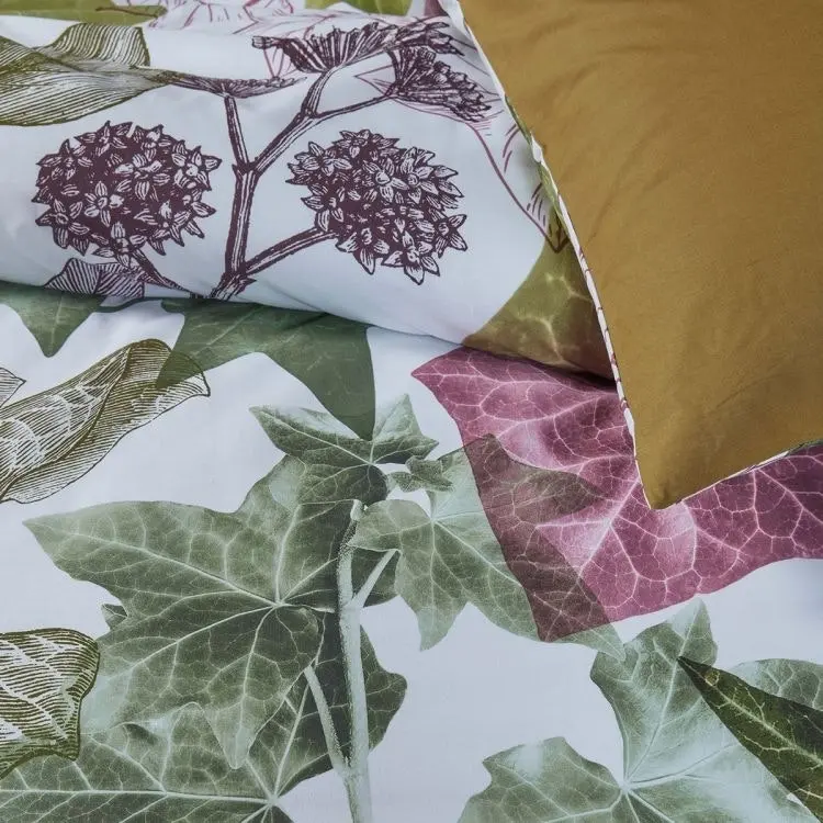 Bedding House Ivy Multi Quilt Cover Set